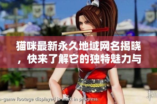 猫咪最新永久地域网名揭晓，快来了解它的独特魅力与含义！