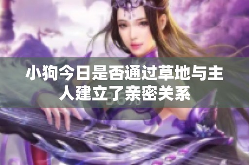 小狗今日是否通过草地与主人建立了亲密关系