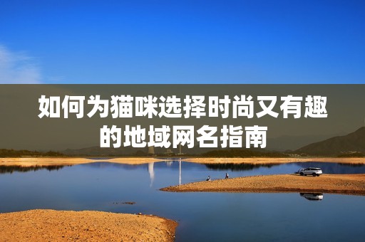 如何为猫咪选择时尚又有趣的地域网名指南