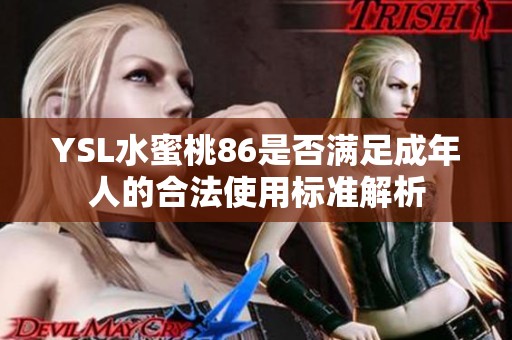YSL水蜜桃86是否满足成年人的合法使用标准解析