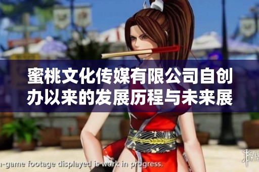 蜜桃文化传媒有限公司自创办以来的发展历程与未来展望