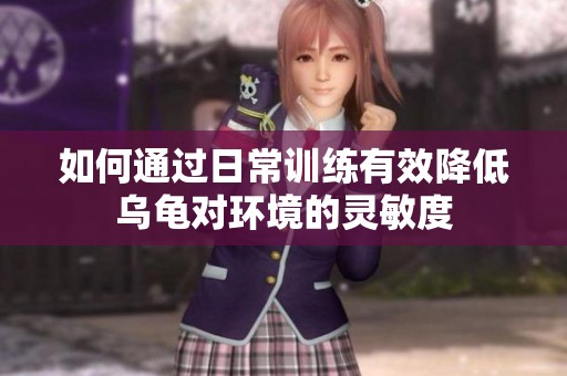 如何通过日常训练有效降低乌龟对环境的灵敏度