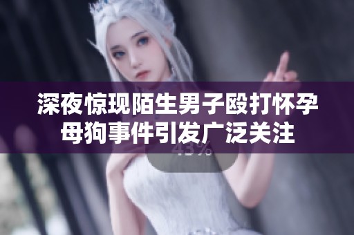 深夜惊现陌生男子殴打怀孕母狗事件引发广泛关注