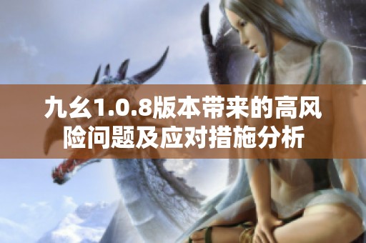 九幺1.0.8版本带来的高风险问题及应对措施分析
