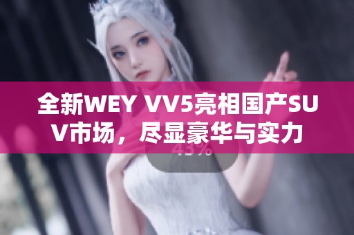 全新WEY VV5亮相国产SUV市场，尽显豪华与实力