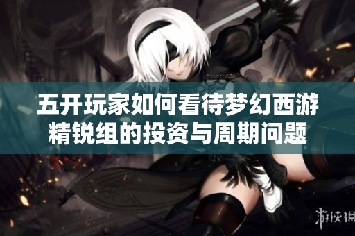 五开玩家如何看待梦幻西游精锐组的投资与周期问题