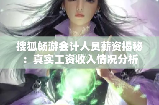 搜狐畅游会计人员薪资揭秘：真实工资收入情况分析
