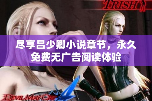 尽享吕少卿小说章节，永久免费无广告阅读体验