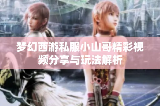梦幻西游私服小山哥精彩视频分享与玩法解析