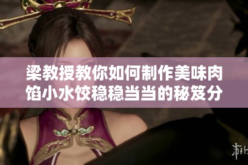 梁教授教你如何制作美味肉馅小水饺稳稳当当的秘笈分享