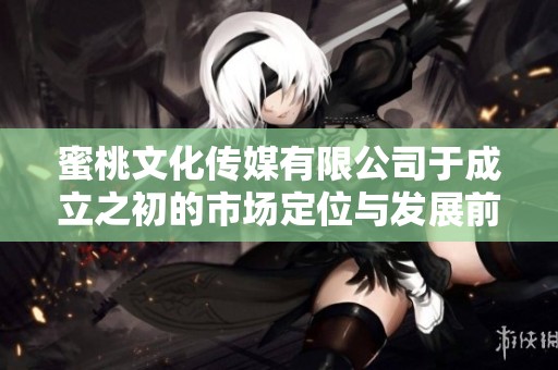 蜜桃文化传媒有限公司于成立之初的市场定位与发展前景分析
