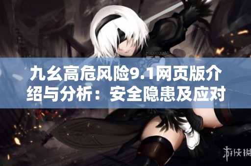 九幺高危风险9.1网页版介绍与分析：安全隐患及应对策略