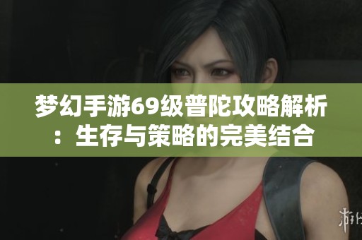 梦幻手游69级普陀攻略解析：生存与策略的完美结合