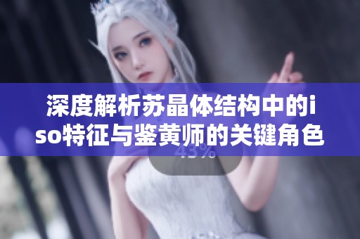 深度解析苏晶体结构中的iso特征与鉴黄师的关键角色