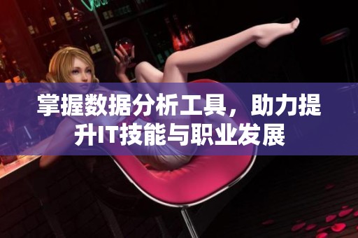 掌握数据分析工具，助力提升IT技能与职业发展