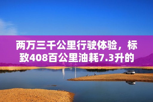 两万三千公里行驶体验，标致408百公里油耗7.3升的真实表现