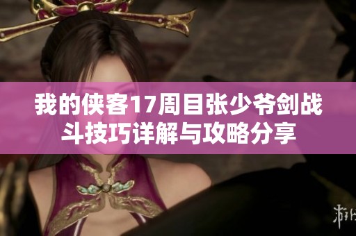 我的侠客17周目张少爷剑战斗技巧详解与攻略分享