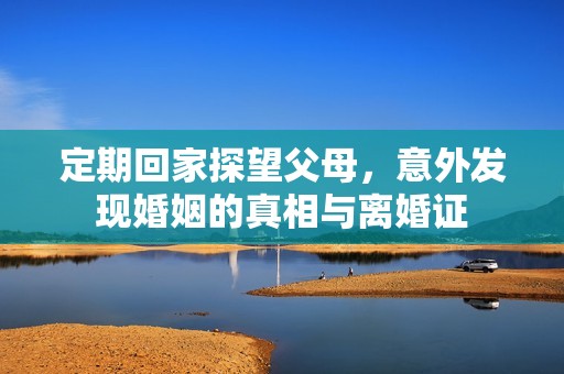 定期回家探望父母，意外发现婚姻的真相与离婚证