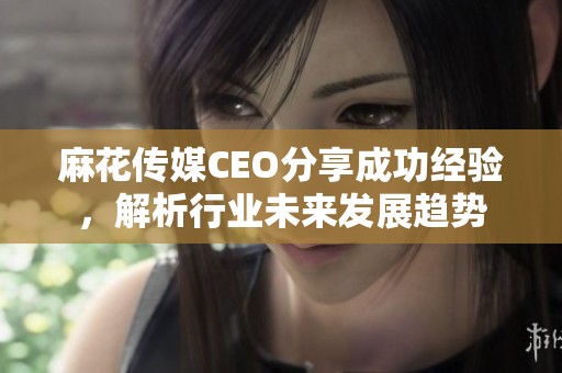 麻花传媒CEO分享成功经验，解析行业未来发展趋势