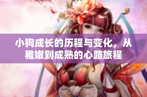 小狗成长的历程与变化，从稚嫩到成熟的心路旅程