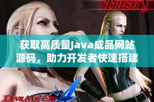获取高质量Java成品网站源码，助力开发者快速搭建网站