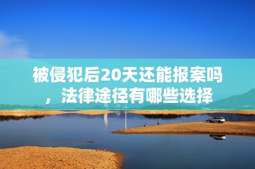 被侵犯后20天还能报案吗，法律途径有哪些选择