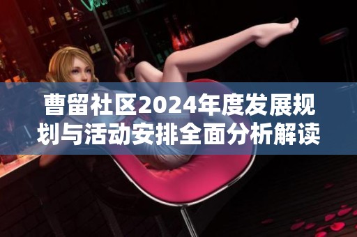 曹留社区2024年度发展规划与活动安排全面分析解读