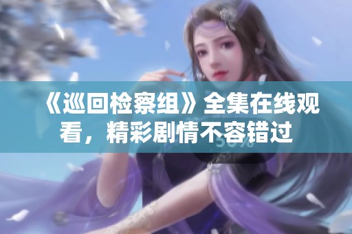 《巡回检察组》全集在线观看，精彩剧情不容错过