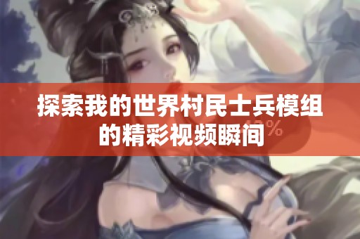 探索我的世界村民士兵模组的精彩视频瞬间