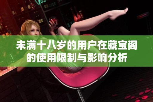 未满十八岁的用户在藏宝阁的使用限制与影响分析