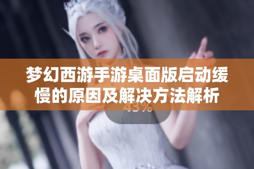 梦幻西游手游桌面版启动缓慢的原因及解决方法解析