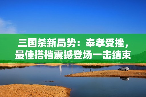 三国杀新局势：奉孝受挫，最佳搭档震撼登场一击结束游戏！