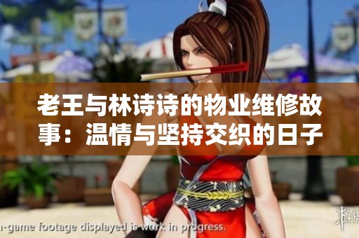 老王与林诗诗的物业维修故事：温情与坚持交织的日子