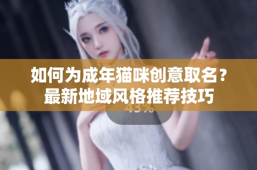 如何为成年猫咪创意取名？最新地域风格推荐技巧