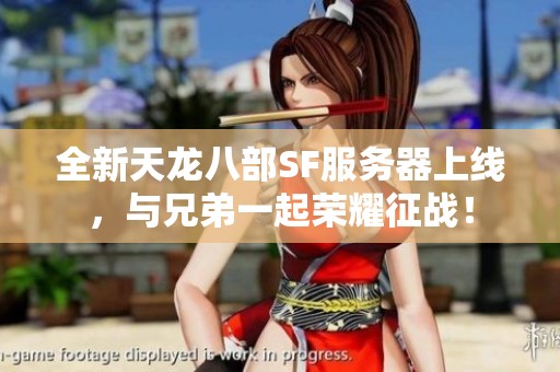 全新天龙八部SF服务器上线，与兄弟一起荣耀征战！