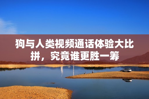 狗与人类视频通话体验大比拼，究竟谁更胜一筹