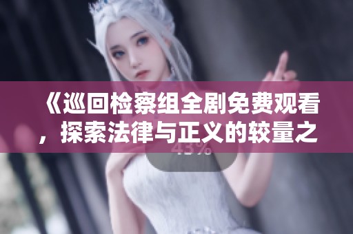 《巡回检察组全剧免费观看，探索法律与正义的较量之旅》