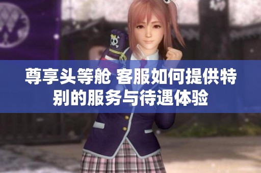 尊享头等舱 客服如何提供特别的服务与待遇体验