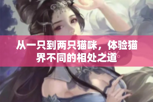 从一只到两只猫咪，体验猫界不同的相处之道