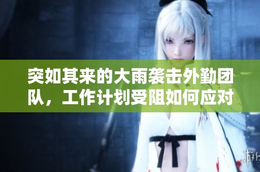 突如其来的大雨袭击外勤团队，工作计划受阻如何应对