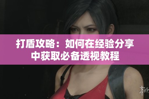 打盾攻略：如何在经验分享中获取必备透视教程