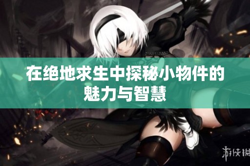 在绝地求生中探秘小物件的魅力与智慧