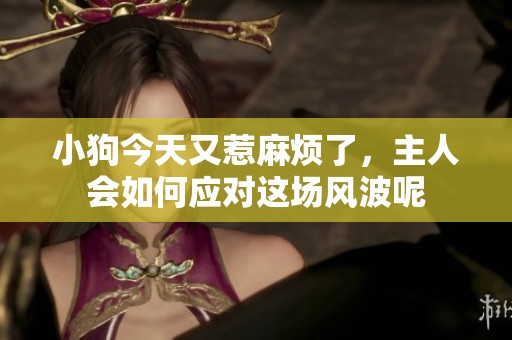 小狗今天又惹麻烦了，主人会如何应对这场风波呢
