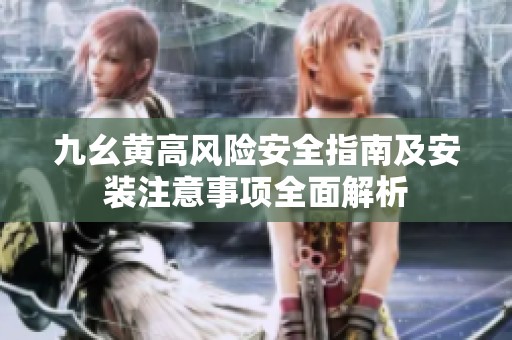 九幺黄高风险安全指南及安装注意事项全面解析