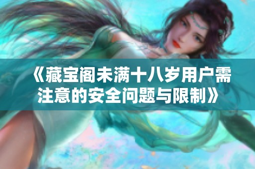 《藏宝阁未满十八岁用户需注意的安全问题与限制》