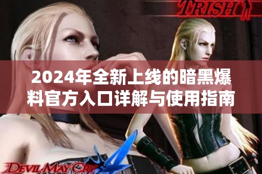 2024年全新上线的暗黑爆料官方入口详解与使用指南