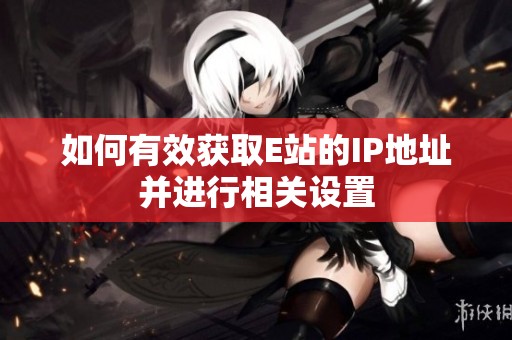 如何有效获取E站的IP地址并进行相关设置