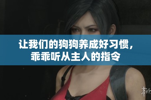 让我们的狗狗养成好习惯，乖乖听从主人的指令