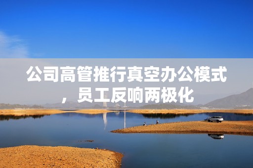 公司高管推行真空办公模式，员工反响两极化