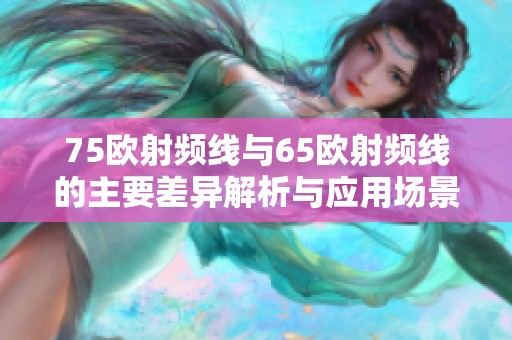 75欧射频线与65欧射频线的主要差异解析与应用场景比较